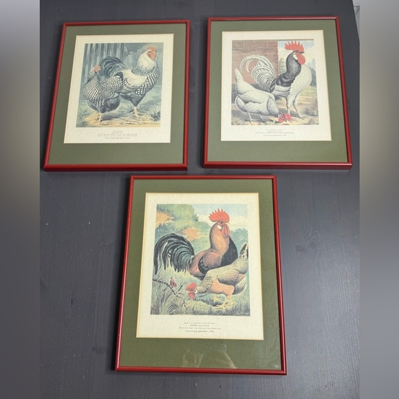 Vintage Pair of Roosters Hens Prints Dorkings Grafiche Tassotti Farmhouse - Picture 2 of 9
